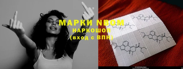 ПСИЛОЦИБИНОВЫЕ ГРИБЫ Абаза