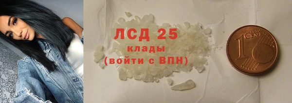 ПСИЛОЦИБИНОВЫЕ ГРИБЫ Абаза