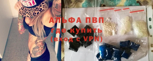 прущие грибы Протвино