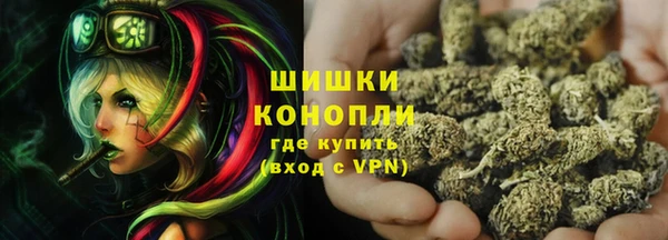 ПСИЛОЦИБИНОВЫЕ ГРИБЫ Абаза