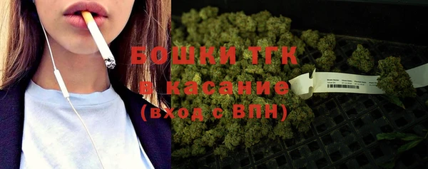 ПСИЛОЦИБИНОВЫЕ ГРИБЫ Абаза